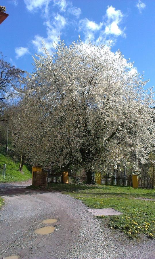 Ferienwohnung Ottmanach Josefhof Pischeldorf Dış mekan fotoğraf
