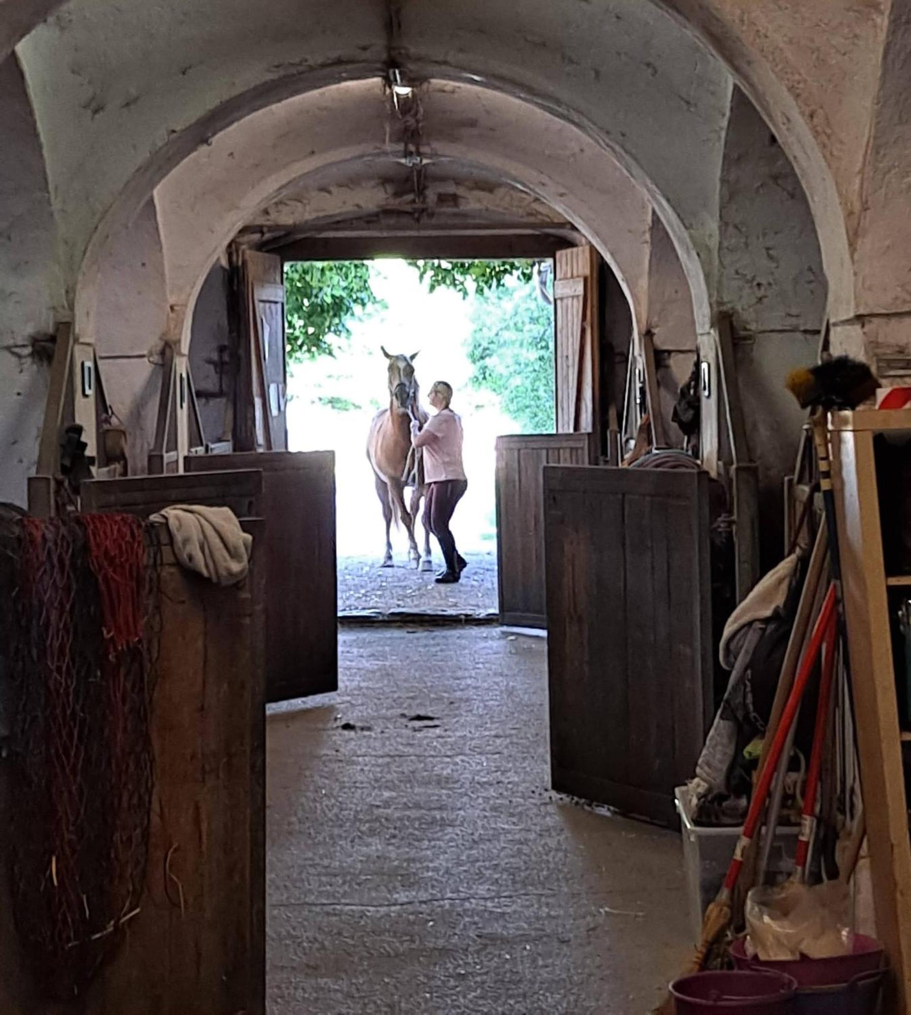 Ferienwohnung Ottmanach Josefhof Pischeldorf Dış mekan fotoğraf
