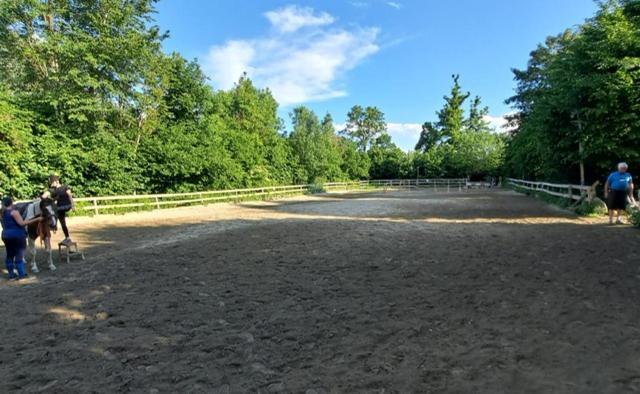 Ferienwohnung Ottmanach Josefhof Pischeldorf Dış mekan fotoğraf
