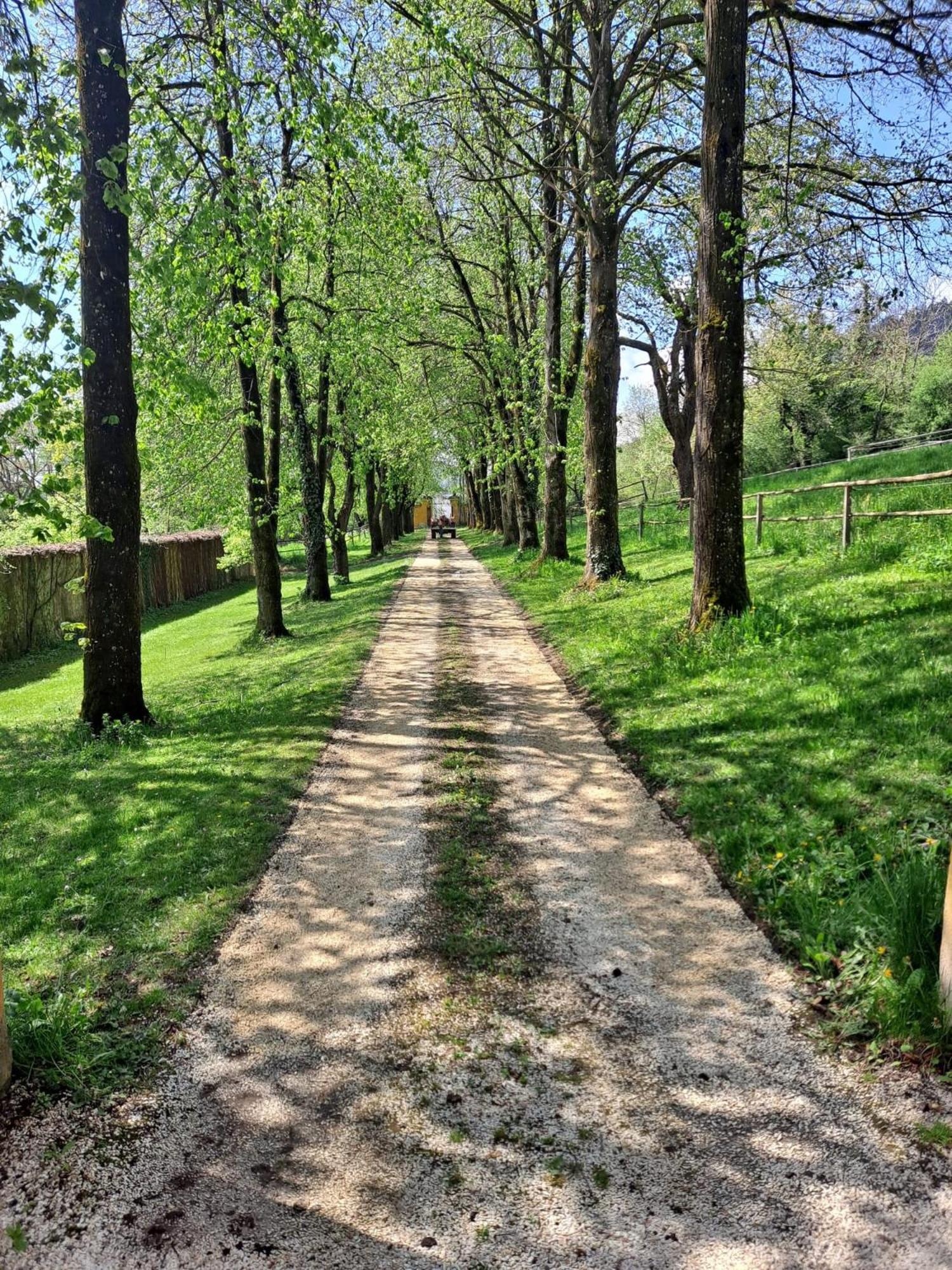 Ferienwohnung Ottmanach Josefhof Pischeldorf Dış mekan fotoğraf